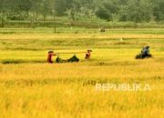 Kementan Dorong Mahasiswa Unissula Berinovasi di Pertanian