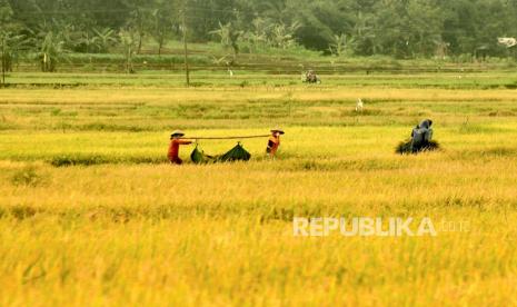 Kementan Dorong Mahasiswa Unissula Berinovasi di Pertanian