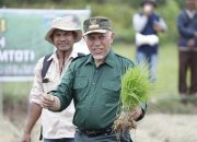 Terobosan Kemandirian Pangan, Mahyeldi Diganjar Penghargaan dari Merdeka Award 2024