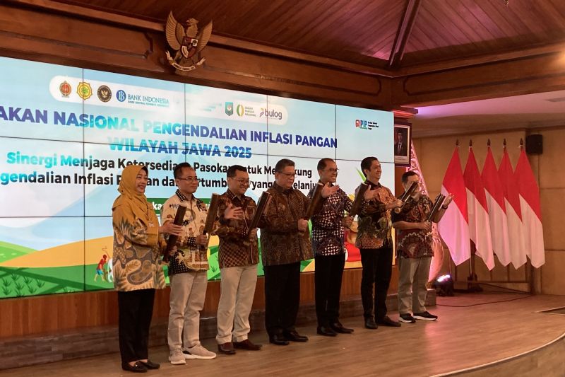 bi-perkuat-sinergi-gnpip-jawa-guna-tingkatkan-kemandirian-pangan