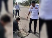 Atasi Jalan Berlubang, Dishub Dharmasraya Lakukan Penambalan