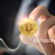 ojk-ingatkan-investor-muda-jangan-fomo-beli-aset-kripto