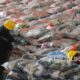 85-persen-beras-premium-tak-sesuai-standar,-pemerintah-ancam-tindak-tegas