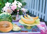 Petani Jawa Timur Berjuang Melawan Virus Melon