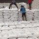 danantara-gelontorkan-rp1,5-triliun-untuk-beli-gula-petani-yang-belum-laku