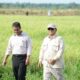 mentan-klarifikasi-usai-dikritik-bandingkan-kenaikan-beras-di-jepang
