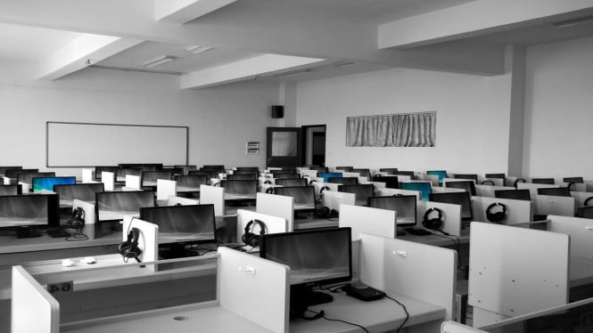 lowongan-kerja-entry-level-terancam-lenyap,-ai-jadi-tantangan-besar-gen-z-dan-fresh-graduate