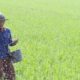 ada-kejutan-dari-pupuk-kaltim