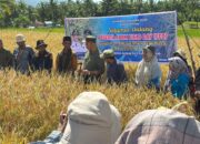 Mahyeldi Pacu Produktivitas Padi, Harga Terjangkau Petani