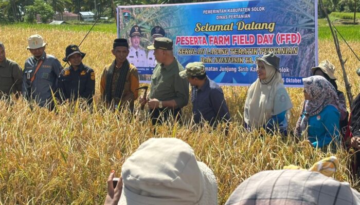 Mahyeldi Pacu Produktivitas Padi, Harga Terjangkau Petani