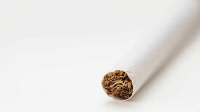 apti-sebut-kebijakan-kemasan-rokok-seragam-bisa-picu-rokok-ilegal