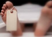 Tambang Emas Ilegal Kembali Telan Korban