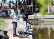 Ratu Prabu Ramai: Pemancing Beradu, Festival Bergulir