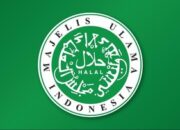 MUI Dorong Pemerintah Evaluasi Beban Pajak Masyarakat