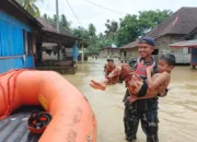 Banjir Air Bangis: Tim Gabungan Selamatkan Puluhan Warga