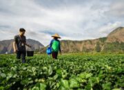 UMKM BRI Bergerak, Ekonomi Daerah Terus Bertumbuh