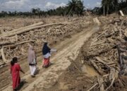 UMKM Sumatra Bangkit: Rp93 Miliar Mengalir Pulihkan Usaha