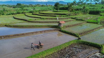 prabowo-kunci-87-persen-lahan-sawah-ri-tak-boleh-dialihfungsikan