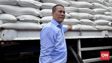 hitungan-amran:-stok-beras-4,6-juta-ton-cukup-untuk-11-bulan