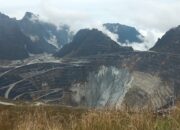 Freeport Sumbang Rp187 Triliun, Ekonom Dorong Penguatan Kebijakan Fiskal