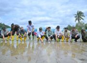 Pemprov Sumbar Percepat Rehabilitasi Lahan Pertanian Terdampak Bencana