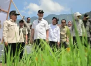 Kemendagri Puji Rehabilitasi Lahan Pertanian Sumbar