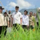 kemendagri-apresiasi-progres-rehabilitasi-lahan-terdampak-bencana-di-sumbar