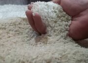 Konflik Timur Tengah Ancam Pasokan Pupuk Global