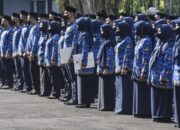 Bulog Kaji Kembali Tunjangan Beras Natura ASN