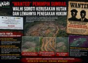 WALHI Soroti Kerusakan Hutan Sumbar dan Lemahnya Penegakan Hukum