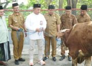 SIG Berdayakan UMKM Lokal dalam Penyaluran 292 Hewan Kurban