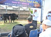 Mahyeldi Tinjau Penyembelihan Hewan Kurban Bantuan Presiden di Padang
