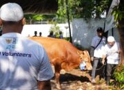 BNI Distribusikan 1.200 Hewan Kurban ke Berbagai Wilayah Indonesia