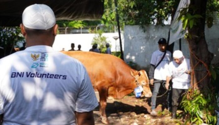 BNI Distribusikan 1.200 Hewan Kurban ke Berbagai Wilayah Indonesia