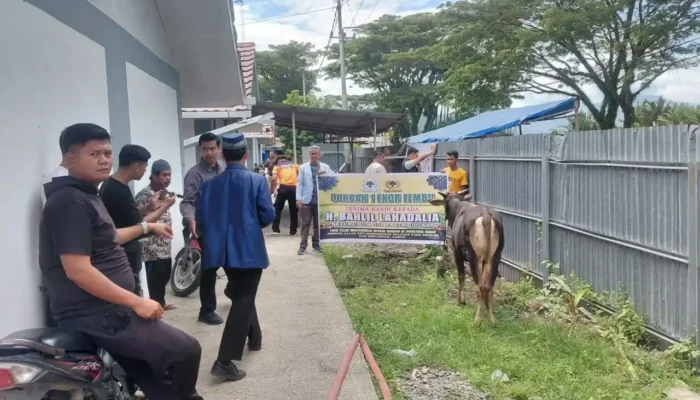 Warga Huntara Lubuk Buaya Terima Bantuan Tiga Ekor Sapi
