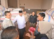Mahyeldi Dorong Hilirisasi Industri Pinang di Lima Puluh Kota