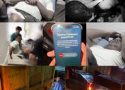 Wagub Sumbar Selamat dari Kecelakaan di Solsel