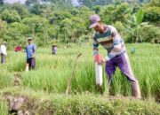 Memasang Patok Batas Cegah Sengketa Lahan Antartetangga