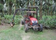 Daftar Perubahan Kepemilikan Saham ABMM, BEEF, BIPI, DSNG, SIMP, dan SUPA