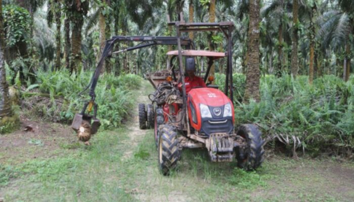 Daftar Perubahan Kepemilikan Saham ABMM, BEEF, BIPI, DSNG, SIMP, dan SUPA