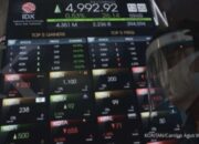 7 Saham Cum Dividen Hari Ini: Cek Emiten dengan Yield 12%