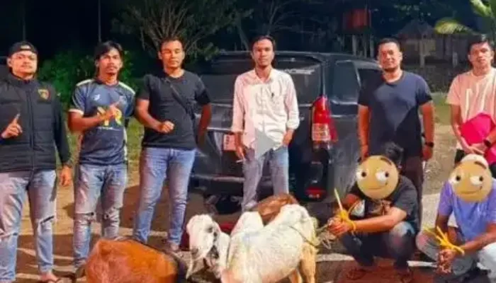 Polisi Ringkus Dua Pencuri Ternak dalam Waktu Singkat