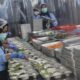 bgn-setop-sementara-mbg-saat-libur-sekolah,-dapur-bakal-diaudit