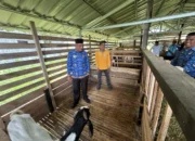 Bupati Limapuluh Kota Pacu Inovasi Sektor Peternakan Daerah