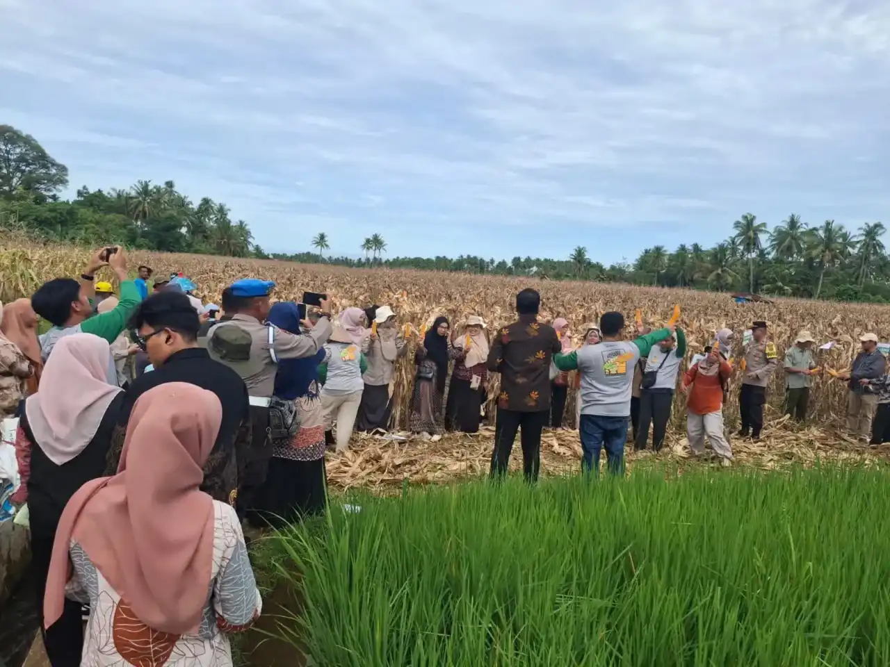 pemko-padang-pulihkan-produktivitas-lahan-pertanian-via-program-alih-komoditi