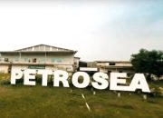Prospek Saham SINI dan PTRO Usai Berkolaborasi di Tambang Kalimantan