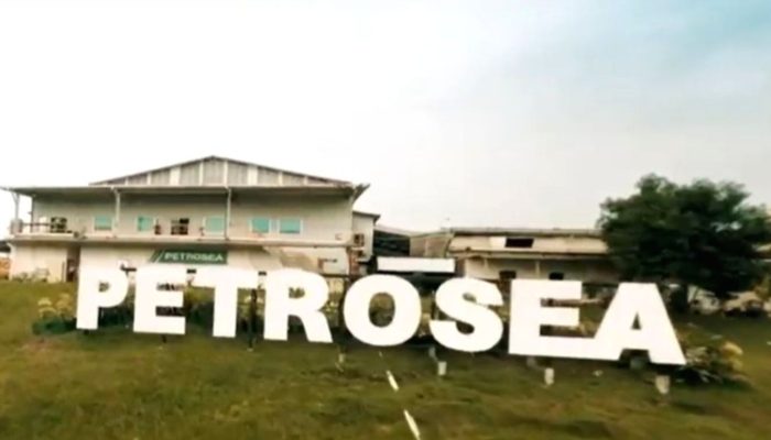Prospek Saham SINI dan PTRO Usai Berkolaborasi di Tambang Kalimantan