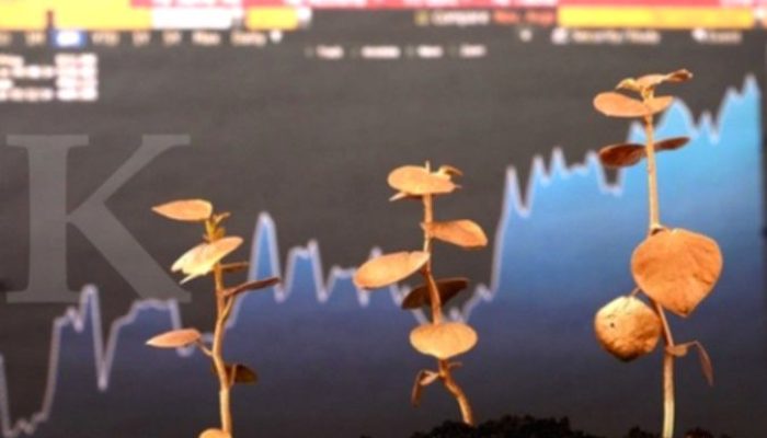 6 Aplikasi Trading Saham Amerika Terbaik untuk Investasi Saham Bluechip