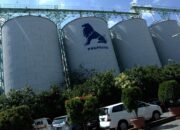 Potensi CPIN Terdepak dari Indeks MSCI, Dana Asing Terancam Keluar