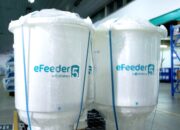 Amvesindo: Fundamental Ekonomi Indonesia Jaga Kepercayaan Investor di Tengah Kasus eFishery